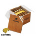 Charuto Cohiba robustos joão pessoa, Charuto Cohiba robustos paraiba